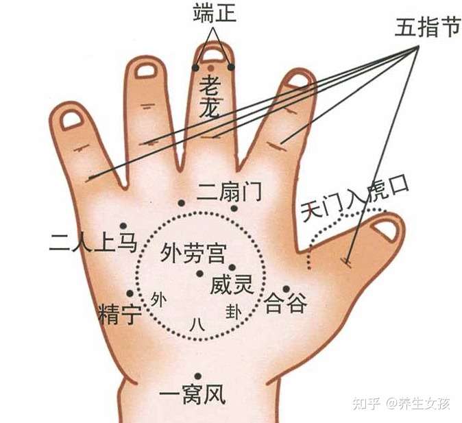 养生女孩 的想法: 小儿推拿 · 按揉手背 外劳宫穴,治