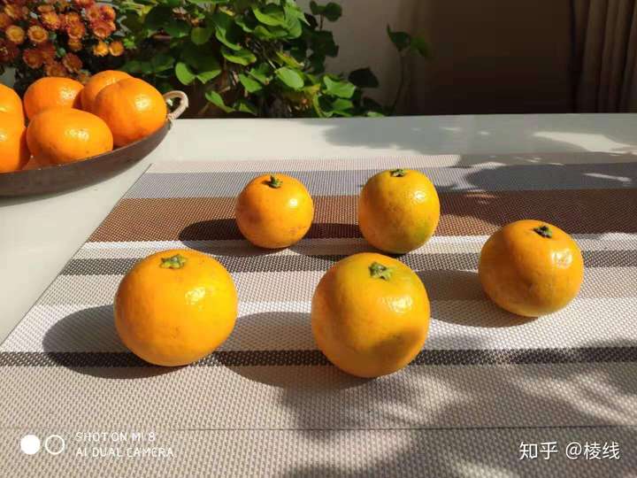 橘子放了很久没有坏掉可以吃嘛?变得很甜是怎么回事?