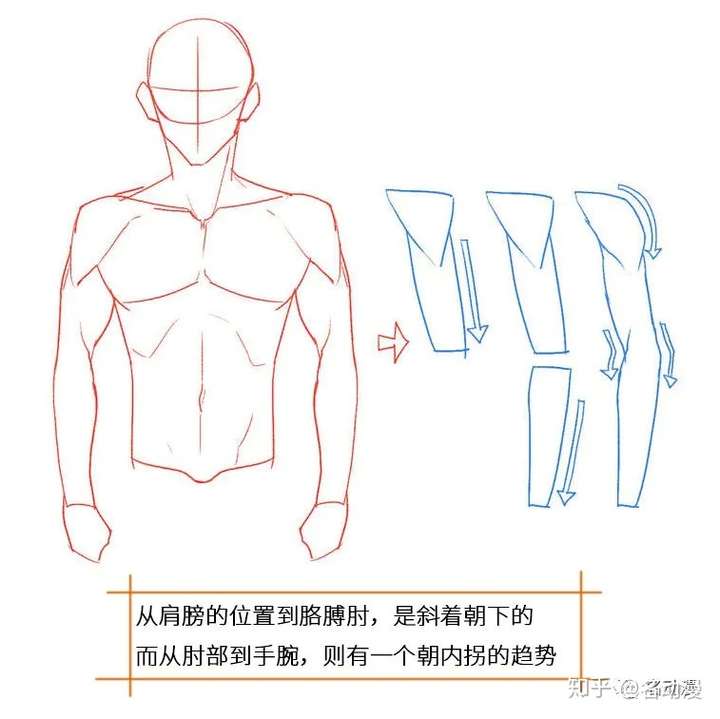 名动漫每日一练画出自然下垂的胳膊