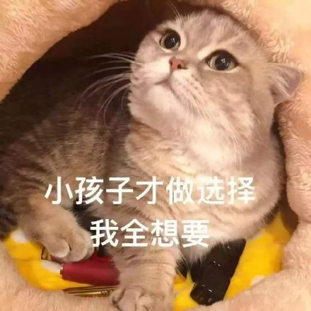 小孩子才做选择题,成年人当然是全都要!