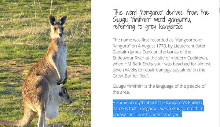 袋鼠的英文名"kangaroo"在澳大利亚语中的意思是"不知道"吗?