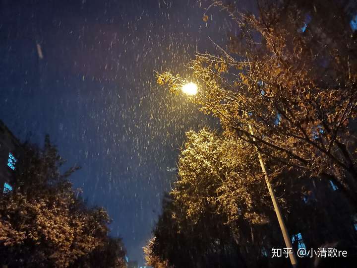 2020 年 11 月 23 日西安大雪纷飞,你镜头下的「雪日西安」是什么样?