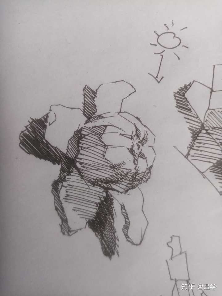 精微素描橘子皮和橘子瓣怎么画啊?