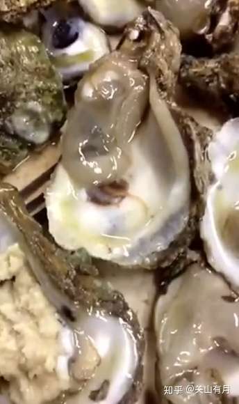 活的生蚝有寄生虫吗?