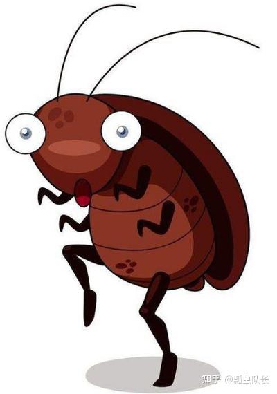 寝室里有蟑螂怎么让寝室里完全没有蟑螂?