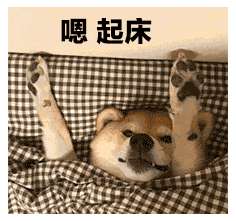 因疫情而不能去公司办公的你,现在怎么样了 知乎