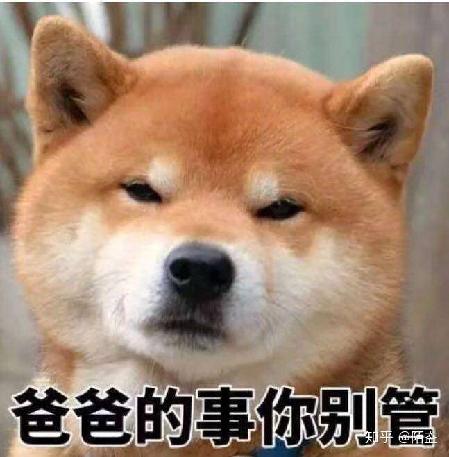 除了宠着惯着我还能有什么办法呢?只能凑合着过咯