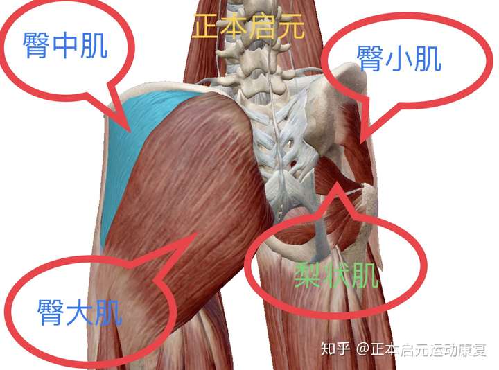 腰和屁股之间里面的骨头疼是怎么回事?有时晚上睡觉会