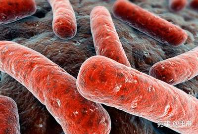 ( 结核病(tuberculosis,又称tb)为 结核杆菌感染引起的疾病[1] 该