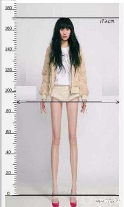正常人腿长与身高的比例如何?
