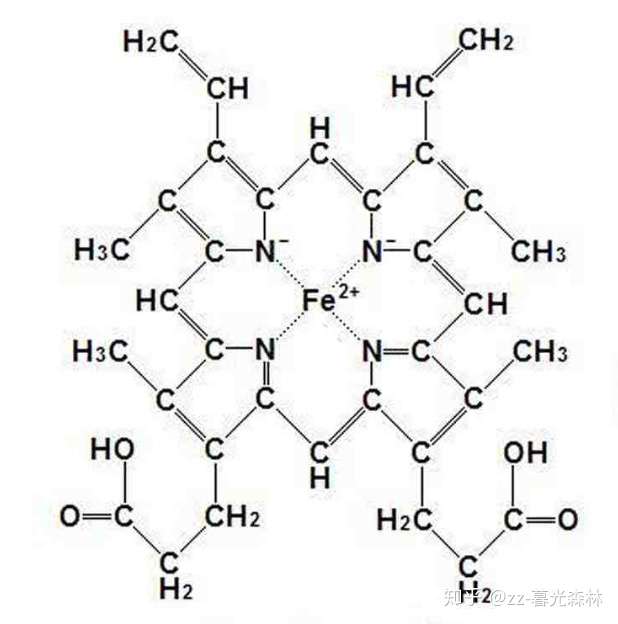 血红素分子结构