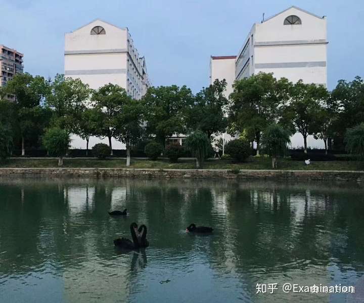 湖北文理学院,湖北理工学院,湖北工程学院,湖北科技学院,黄冈师范学校