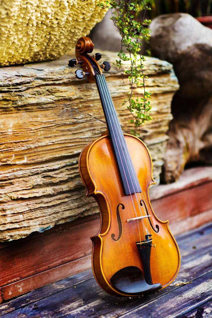 如何分辨小提琴,中提琴,大提琴和低音提琴?