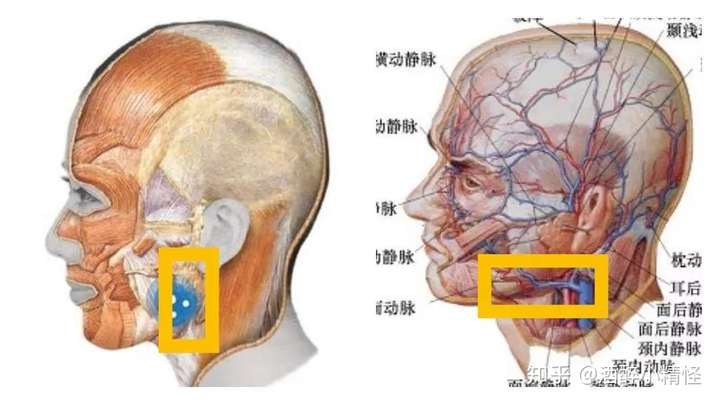 削骨要承担最大的后果是什么呢