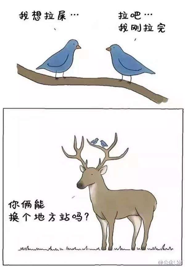 有哪些轻松幽默而又不低俗的段子或图片?