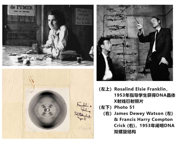 1953 年 dna 双螺旋结构的发现在今日看来有什么局限性?