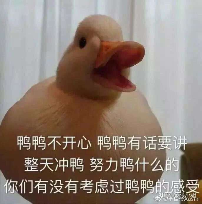 哈哈哈哈哈哈好好笑鸭