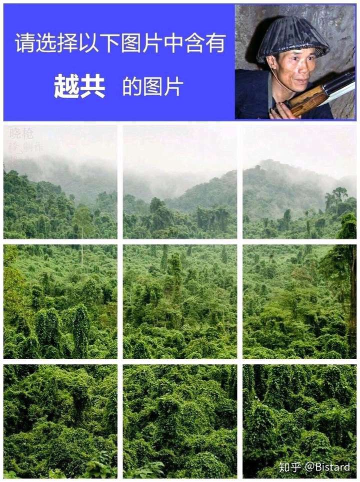 各种越共梗的由来是什么