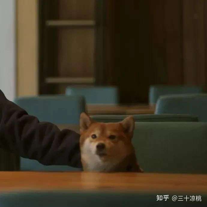 我们如影随形,直到太阳熄灭.