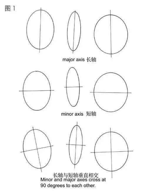 产品手绘的时候怎么练习画很标准的椭圆和圆,有什么秘诀吗?