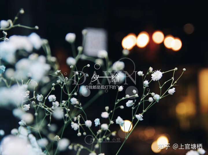 有没有一款软件可以拍照记录生活呢,可以加日期,文字