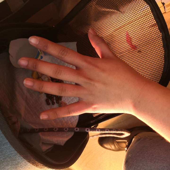 女生手丑是种什么体验?