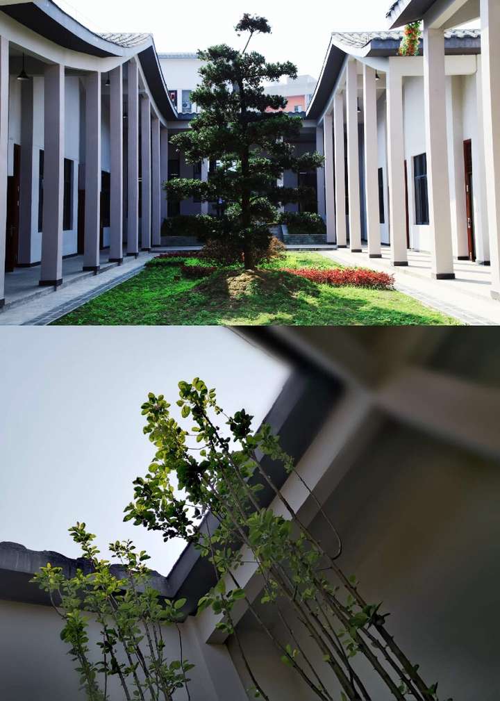 重庆邮电大学移通学院的宿舍条件如何?校区内有哪些生活设施?