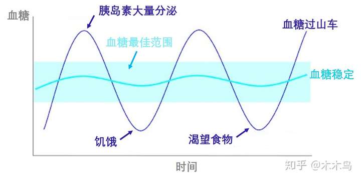 没糖尿病的人血糖曲线是怎样的