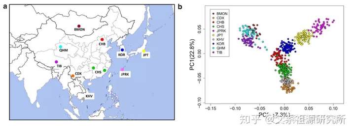 消灭某个民族的基因武器根本无法实现