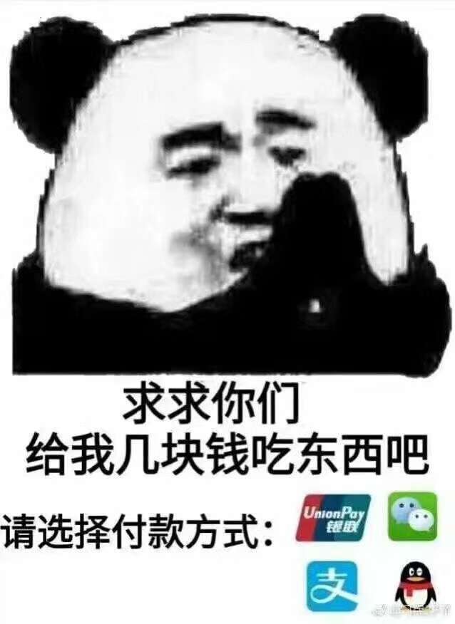 麻烦打钱给我