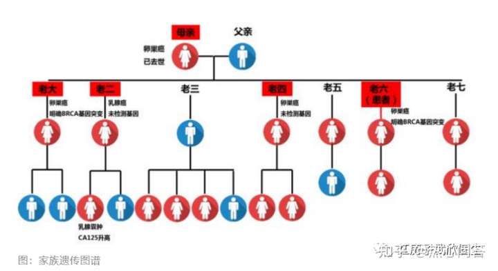 一个家族的遗传图谱