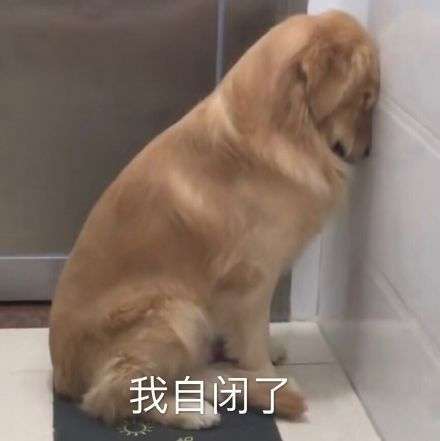 你们有哪些可爱的狗狗表情包吗