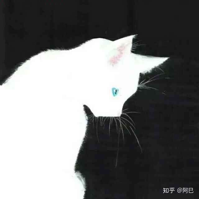 能给我一些高冷的猫的画做头像吗