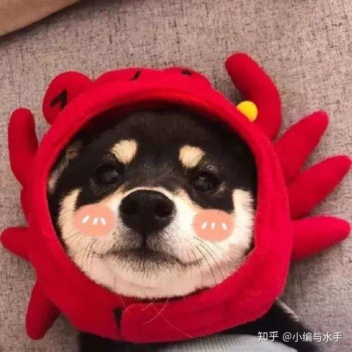 微信用一个丑萌的头像 给人一种什么感觉?