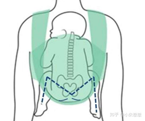 宝宝坐进去呈m字型腿才是好的支撑背带