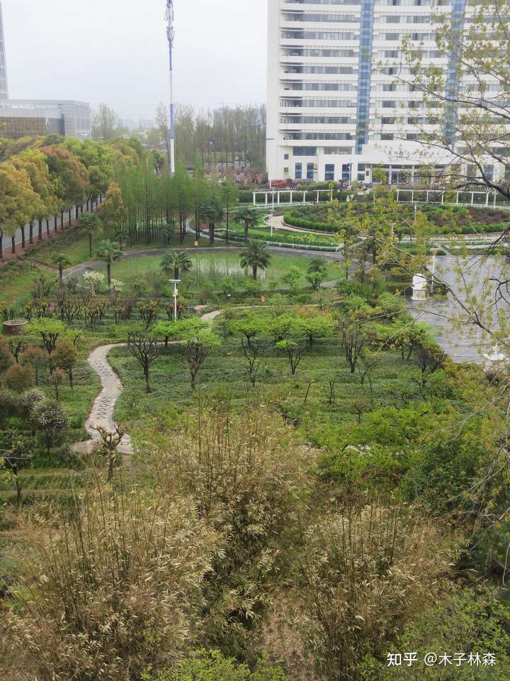 南阳理工学院怎么样?