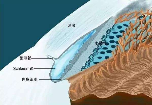 近视眼镜的镜片与眼球的距离对眼睛的度数或者眼睛其他的结构有影响吗