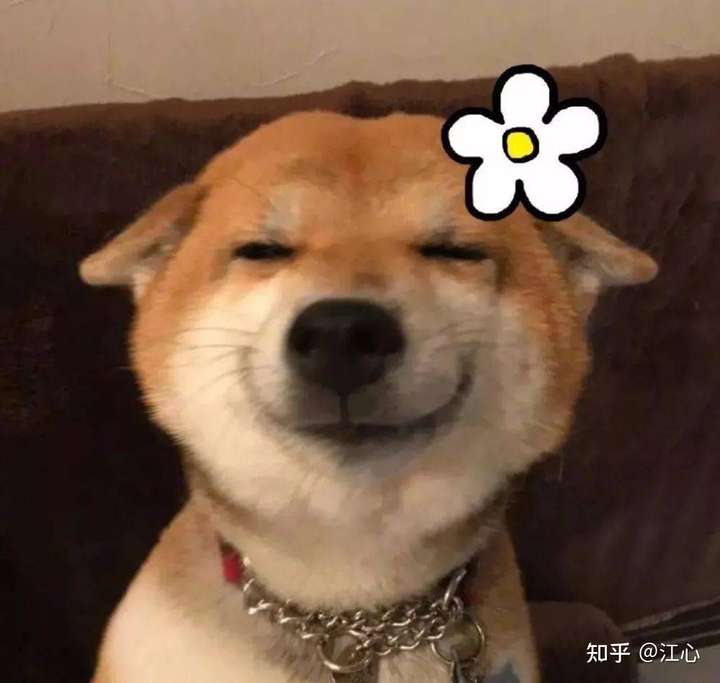 狗头保命