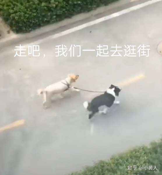 本人男生,怎么假装有男朋友,想求一张牵手照片或者依稀可见背影的照片