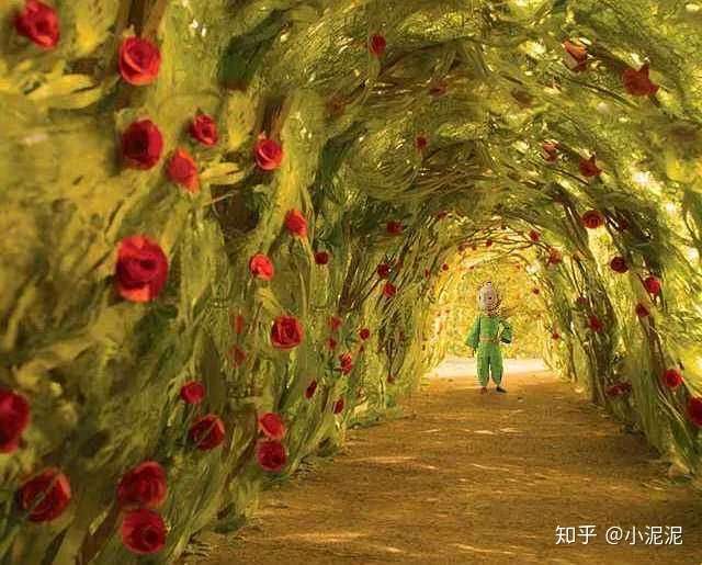 小王子再去玫瑰花园看那些玫瑰,对她们说: 你们根本不像我的玫瑰