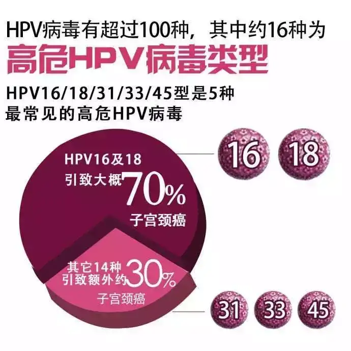 hpv是什么?如何避免感染hpv? - 知乎