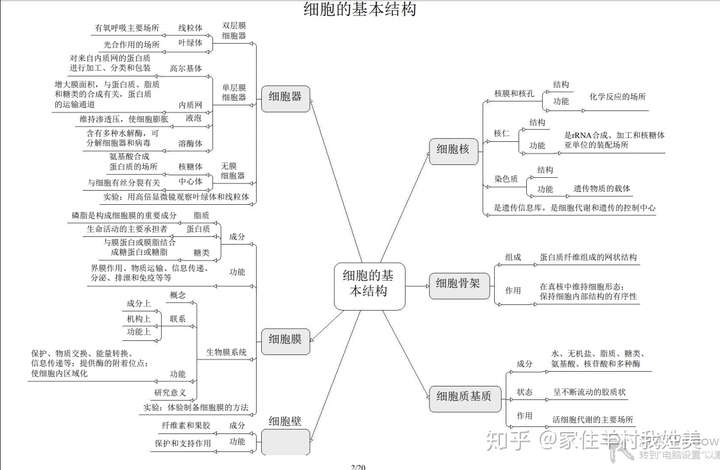 新高考必备:高清版新课标生物思维导图