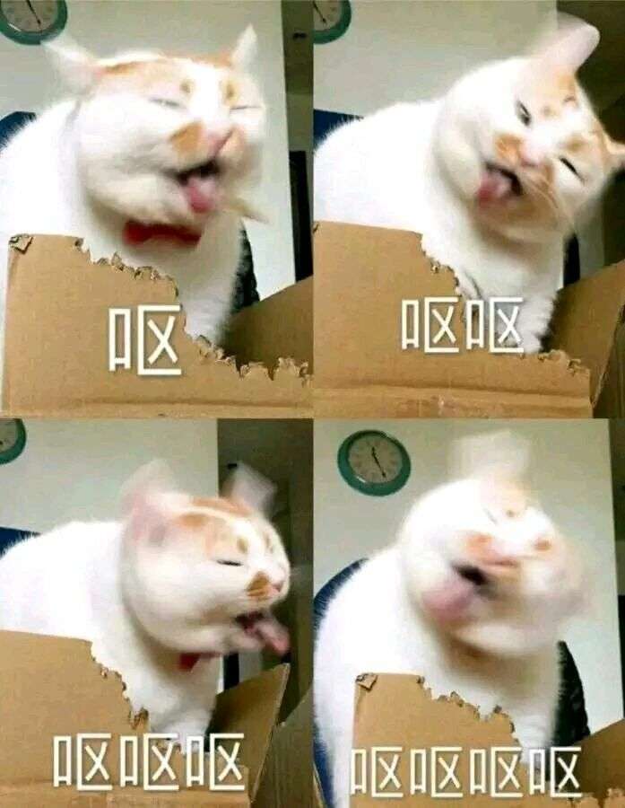 有哪些很皮的呕吐状的表情包?