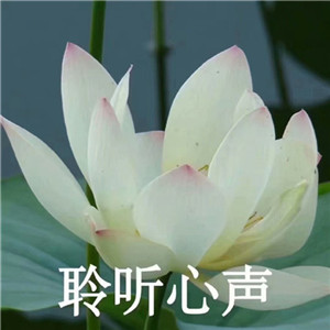 有什么可以让父母认可的微信网名?