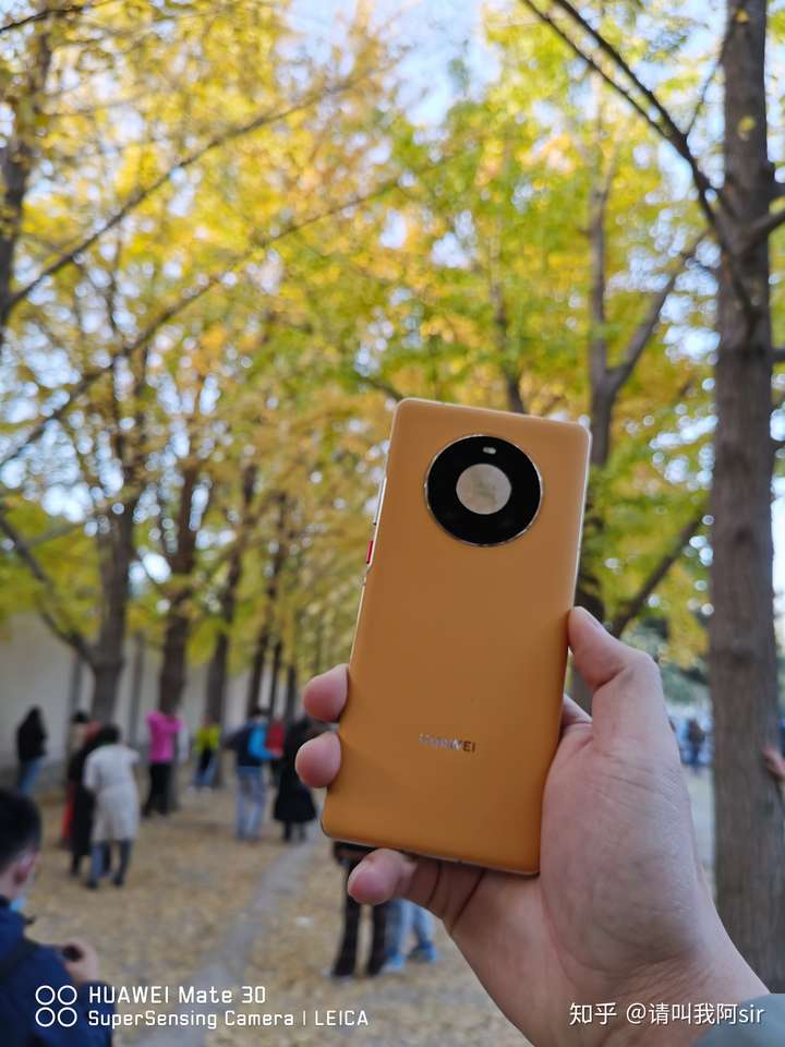 华为mate40pro夏日胡杨,mate40pro 秋日胡杨 (当时旁边的哥们拿的是mate40pro夏日胡杨,这是在开售后三四天去银杏