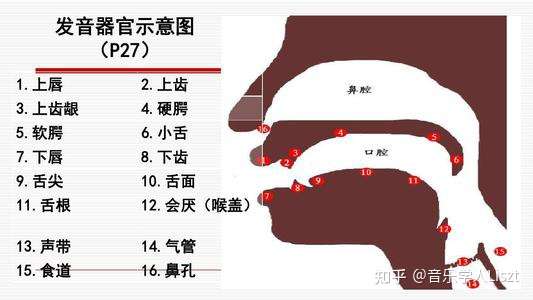 这两个解释都是对辅音来说的,元音发音是在口腔或者鼻腔,不会受到阻碍