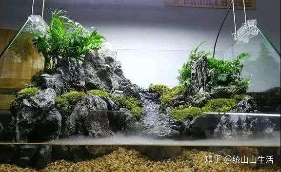 本色水景一学就会的水陆缸制作水陆缸造景教程学习