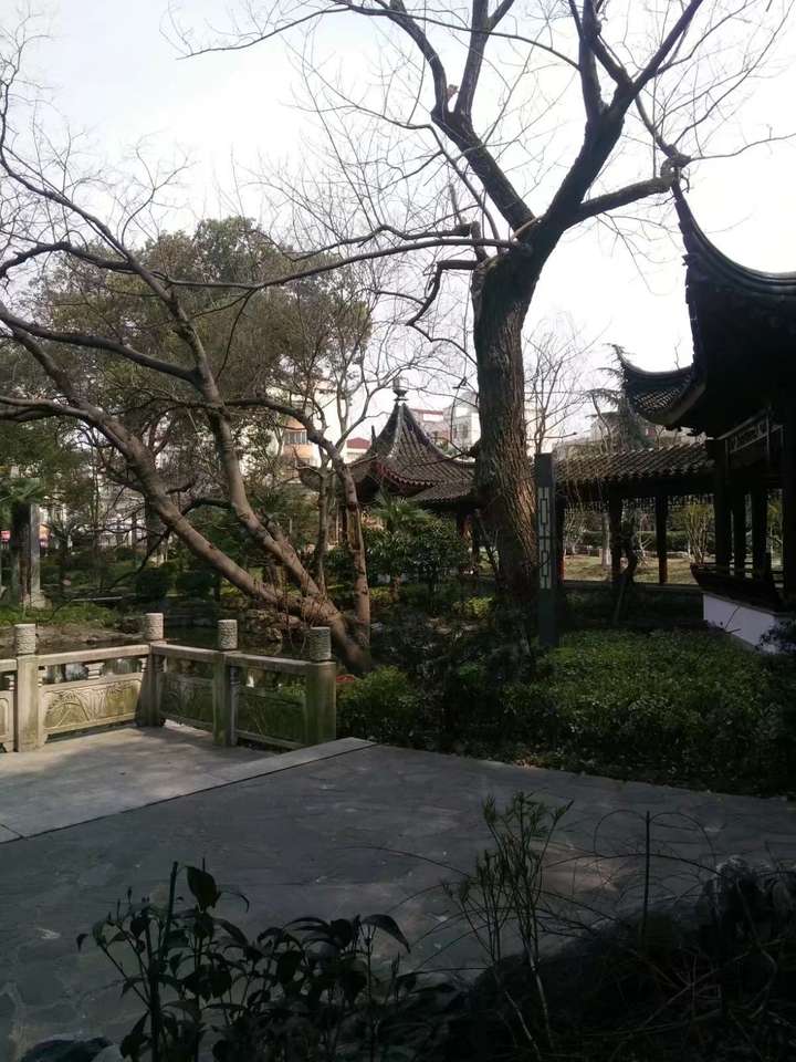 在上海市嘉定二中就读时一种怎样的体验?