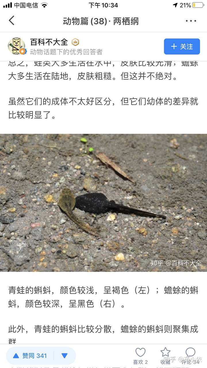 青蛙蝌蚪和蟾蜍蝌蚪怎么区分?