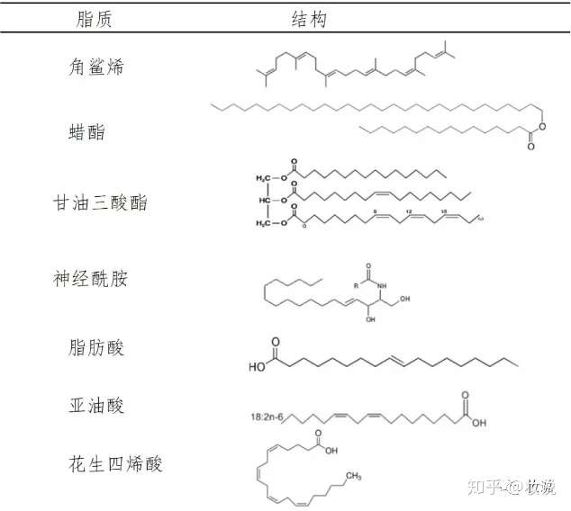 用神经酰胺会长毛吗?